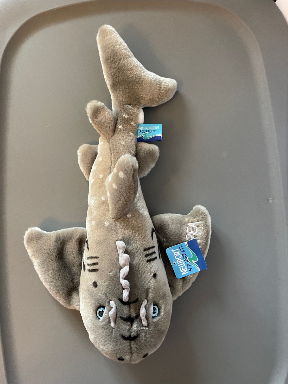 Newport Aquarium Gray Plush Shark Ray “Sweetpea” Stuffed Animal